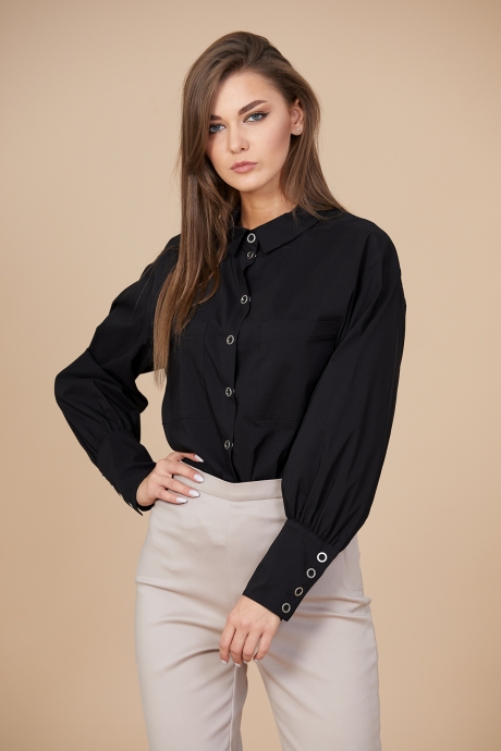 Блузка, туника, рубашка EOLA 1609 -1 размер 44-48 #1