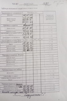 ТAиЕР 1381 двойка #7