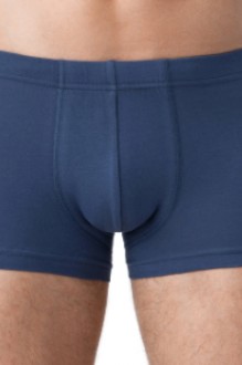 Брестский чулочный комбинат 6200 BOXER BRIEFS
