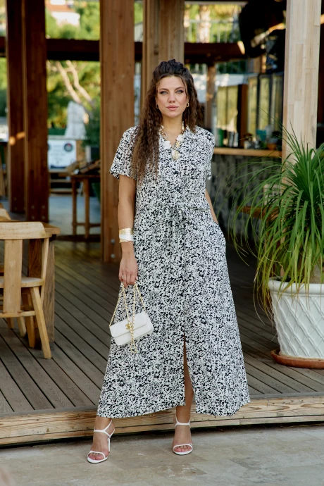 Vittoria Queen 28673 #1