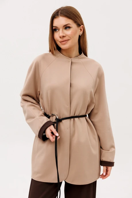 FauFilure C592 #1