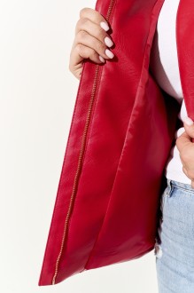 IVA 1366 #5