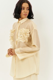 FLAIM 2008 #3