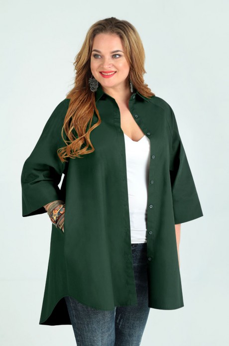 Рубашка Таир-Гранд 62374 зеленый размер 50-62 #1
