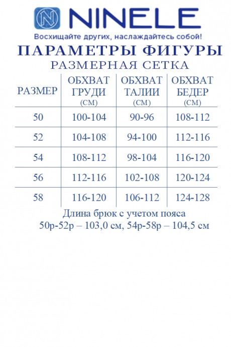 Костюм/комплект NINELE (Нинель Шик ) 7416 тройка небесный размер 50-58 #10