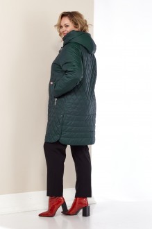 Shetti 2179 #6