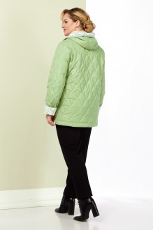 Shetti 2183 #6