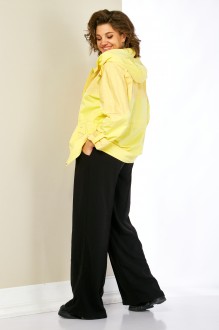 Shetti 2191 #7