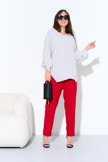 Ликвидация Anastasia 973 #3