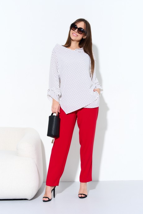 Ликвидация Anastasia 973 #5