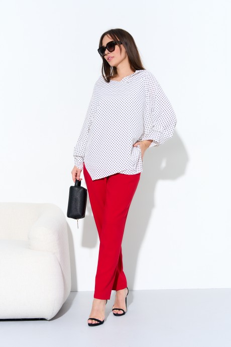 Ликвидация Anastasia 973 #6