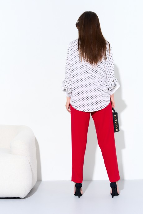 Ликвидация Anastasia 973 #7