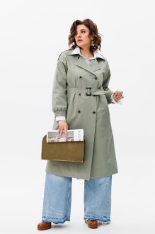 Ликвидация Anelli 1419