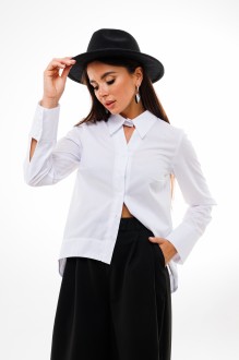 Ликвидация Anelli 1393