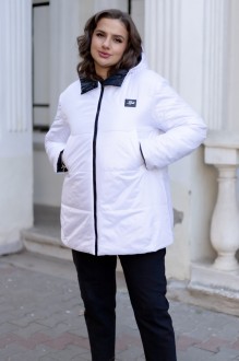 Ликвидация ANDINA CITY 7009