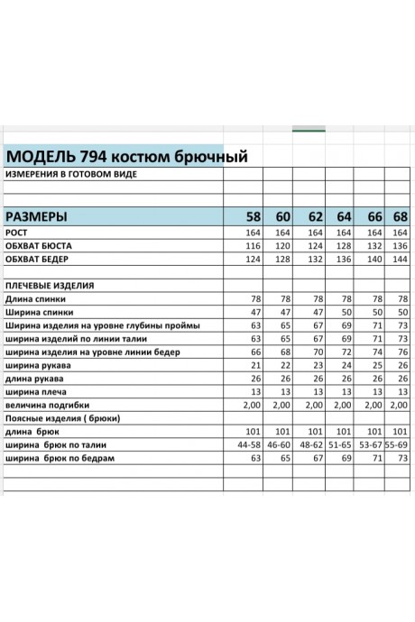 Спортивный костюм Bagira 794 разноцветный размер 58-68 #3