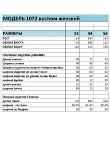 Bagira 1072 двойка #3
