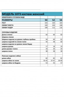 Bagira 1073 двойка #3