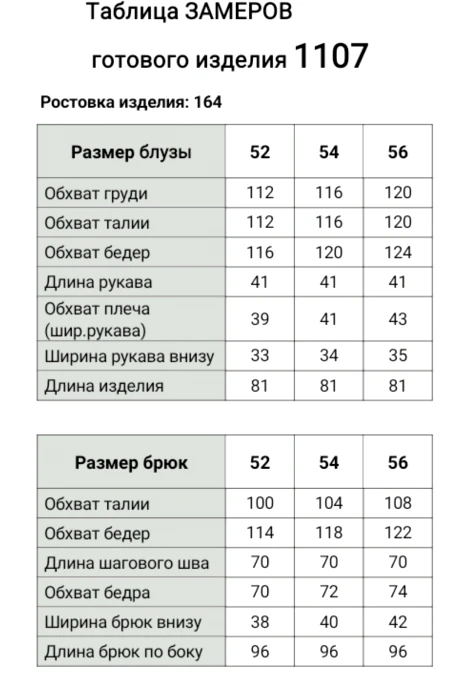 Bagira 1107 двойка #7