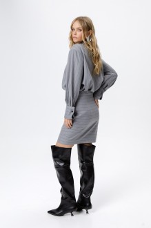 PiRS 6281 #5