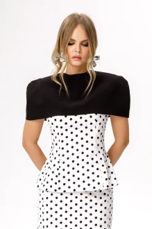 PiRS 6609 двойка #3