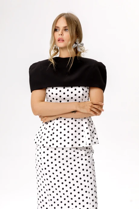 PiRS 6609 двойка #5