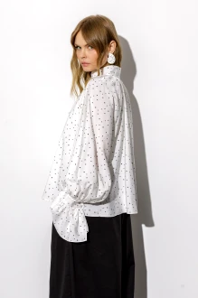 PiRS 6717 двойка #4