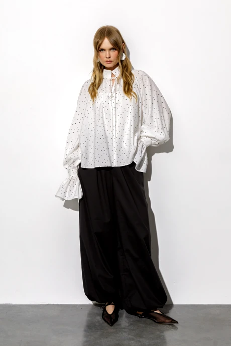 PiRS 6717 двойка #2