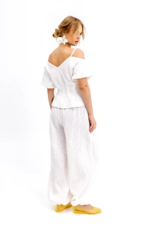 PiRS 6838 #3