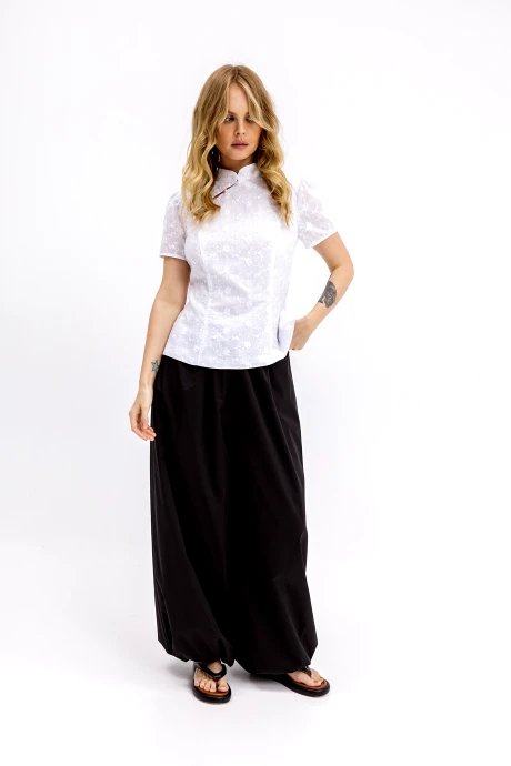 PiRS 6896 #3