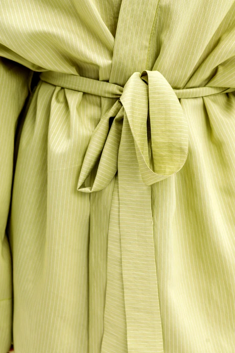 PiRS 6945 #5