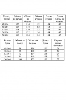 AGATTI 5832 двойка #6