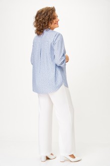 Swallow 864 #10