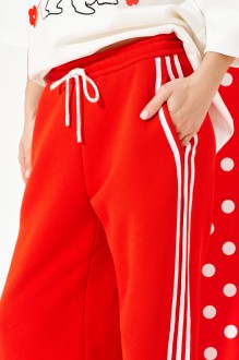 ELLETTO LIFE 2381 #2