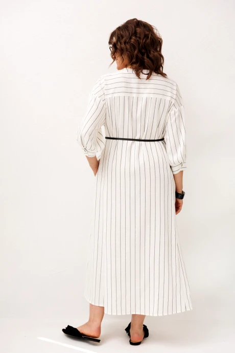 Anelli 1846 #8