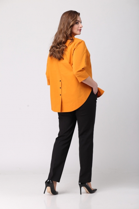 Danaida 1790 #6