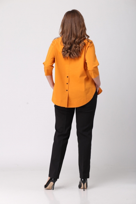 Danaida 1790 #7