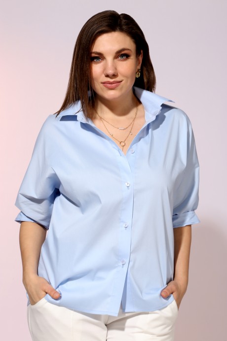 Рубашка BegiModa 4032 голубой размер 48-62 #1