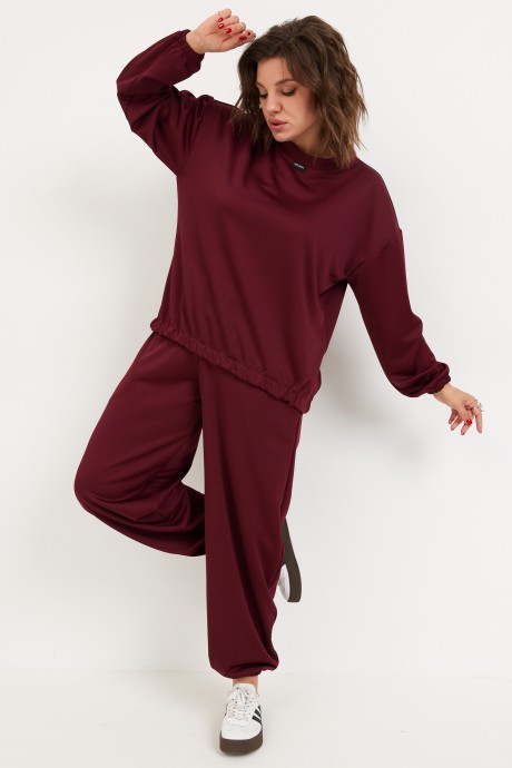 Спортивный костюм BegiModa 3099 двойка вишня размер 48-62 #3