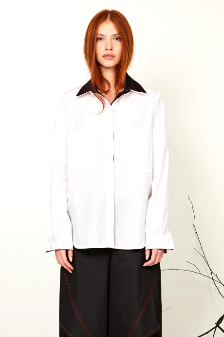 RIVOLI 2488 #5