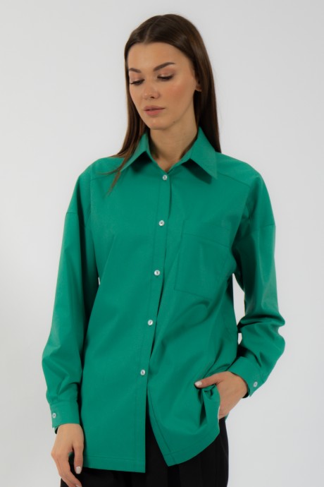 Рубашка KIVVIWEAR 4070 10 зеленый размер 42-52 #1
