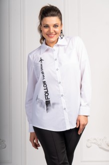 ANDINA 111