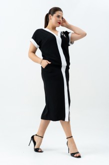 ANDINA 971 #3