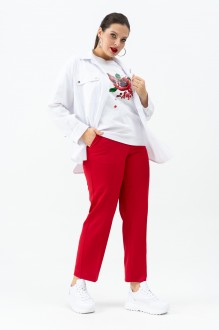 ANDINA 130 #8